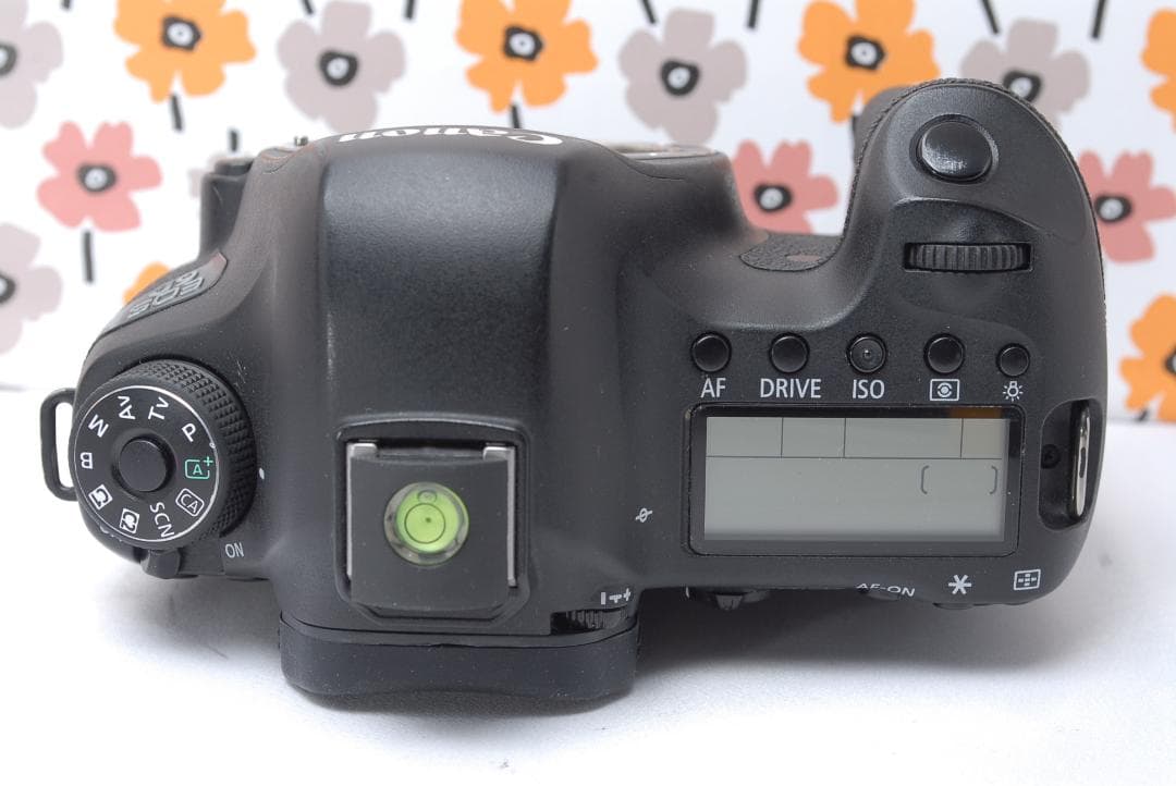 ❤Canon EOS 6D❤ボケ感を楽しむ❤Wi-Fi搭載❤フルサイズ一眼❤