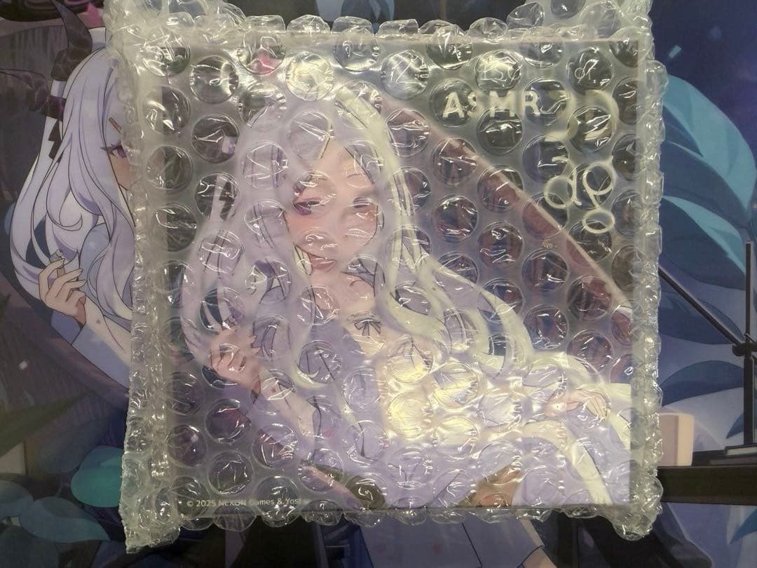 COTSUBU for ASMR 3D ブルーアーカイブ ヒナ クリアファイル付