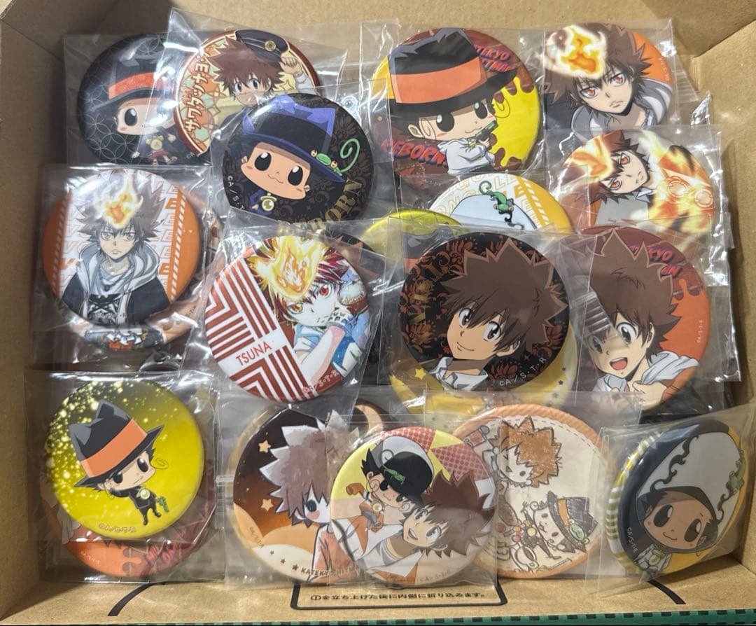 家庭教師ヒットマンREBORN まとめ売り リボーン＆沢田綱吉