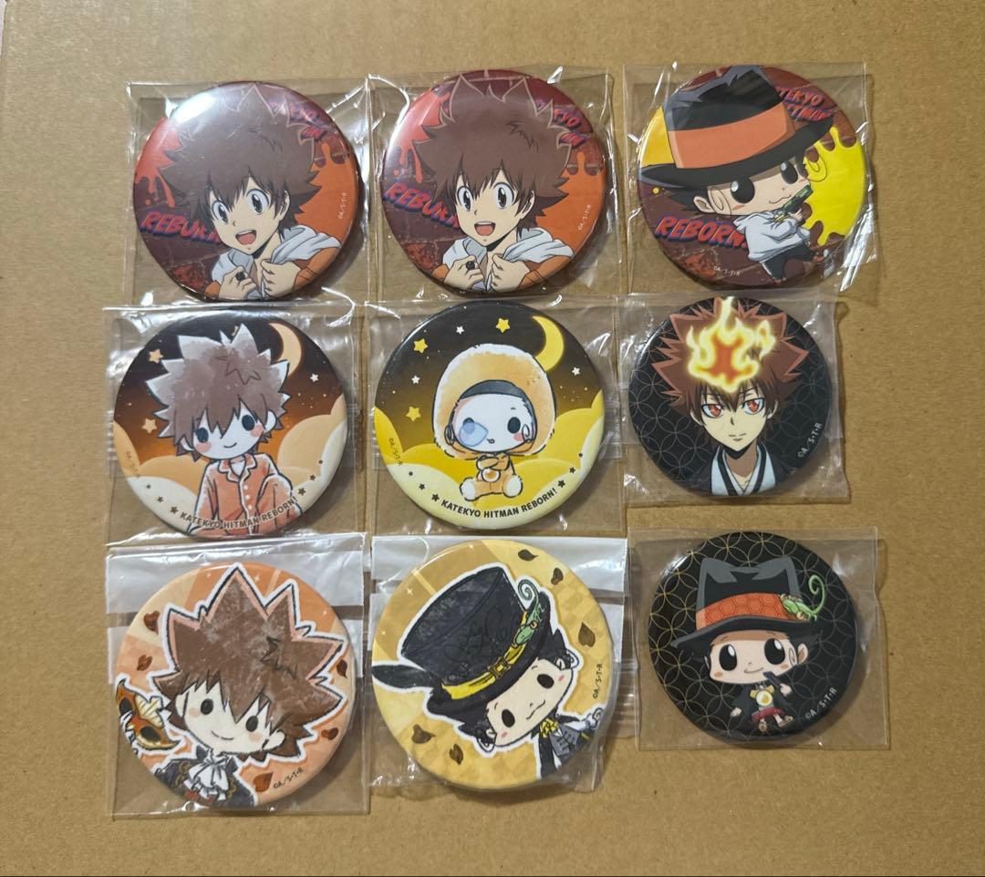 家庭教師ヒットマンREBORN まとめ売り リボーン＆沢田綱吉