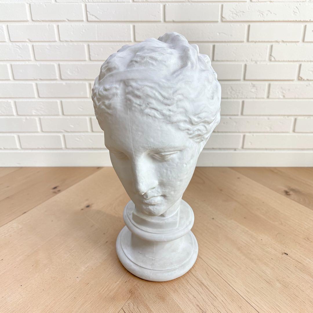 石膏像 あばたのヴィーナス 大型43cm デッサン用 美術教材 インテリア