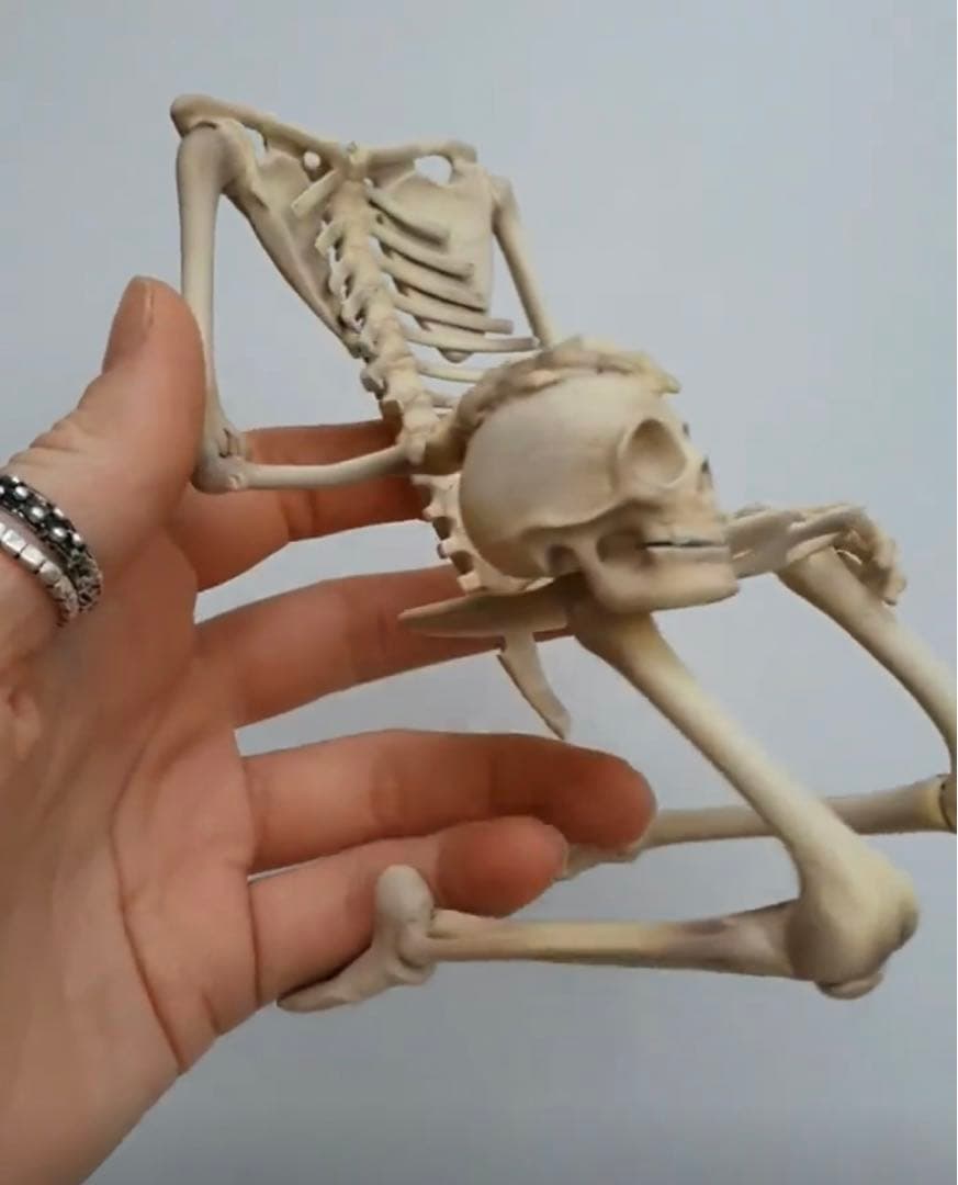 ブライス 人形用 海外作家製 撮影道具 飾り 家具 椅子 スケルトンチェア