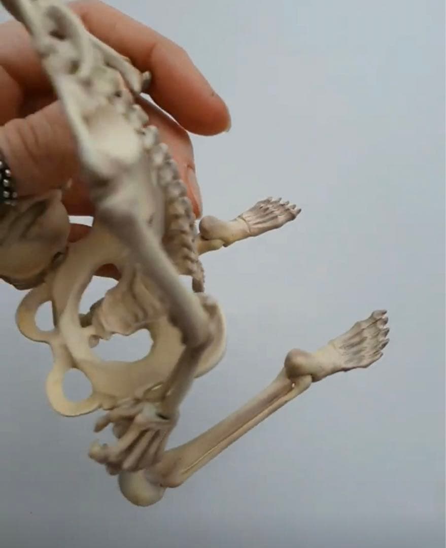 ブライス 人形用 海外作家製 撮影道具 飾り 家具 椅子 スケルトンチェア