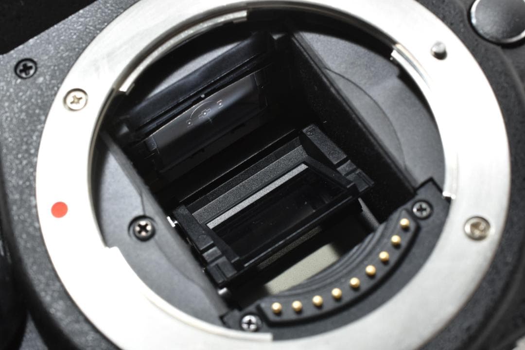 オリンパス E-410 ダブルズームキット #21458