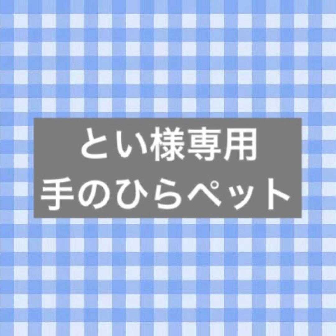 手のひらペット　うちの子オーダー　好きなポーズ うちの子グッズ　羊毛フェルト