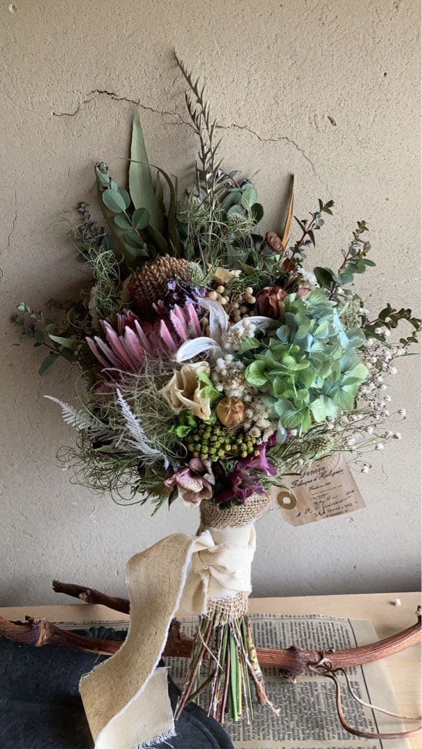 春　プロテアスワッグ　コクニシア