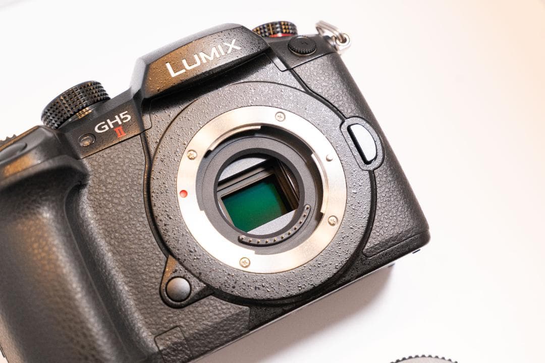LUMIX GH5II GH5M2（シャッター回数：2000）