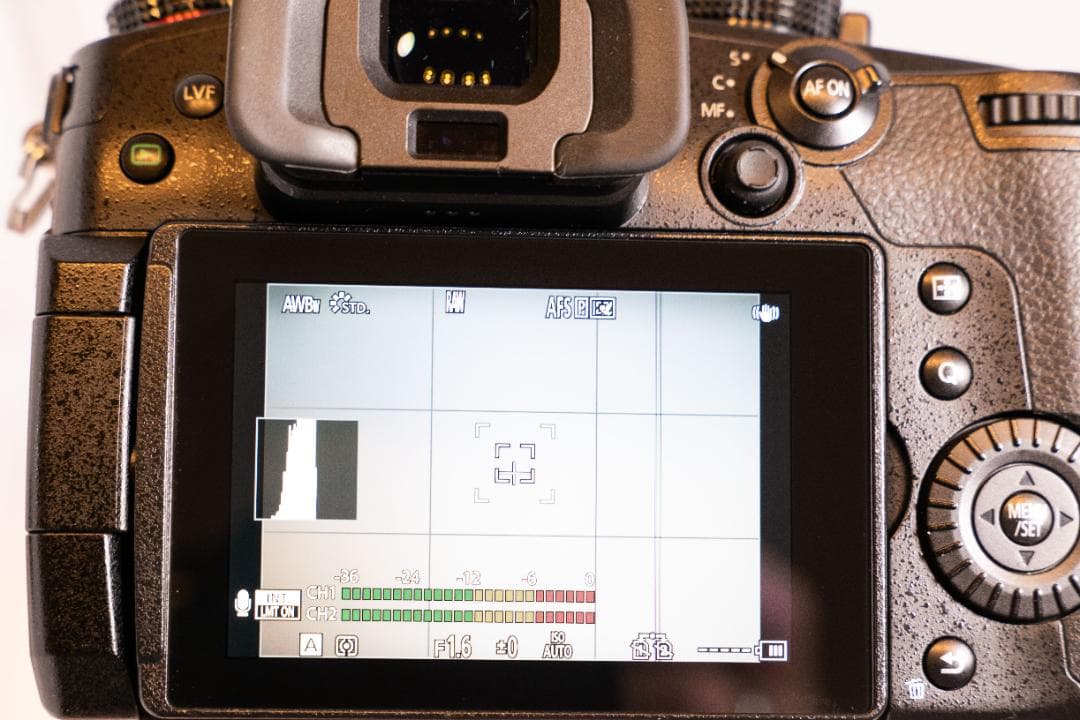 LUMIX GH5II GH5M2（シャッター回数：2000）