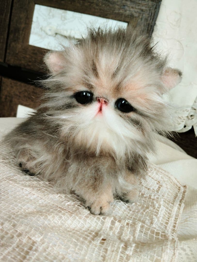 エキゾチックロングヘア♡子猫のプニちゃん♡アートドール♡ぬいぐるみ♡