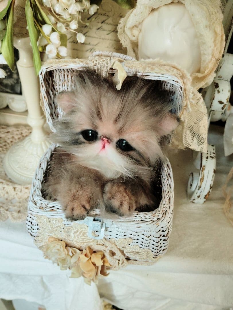 エキゾチックロングヘア♡子猫のプニちゃん♡アートドール♡ぬいぐるみ♡