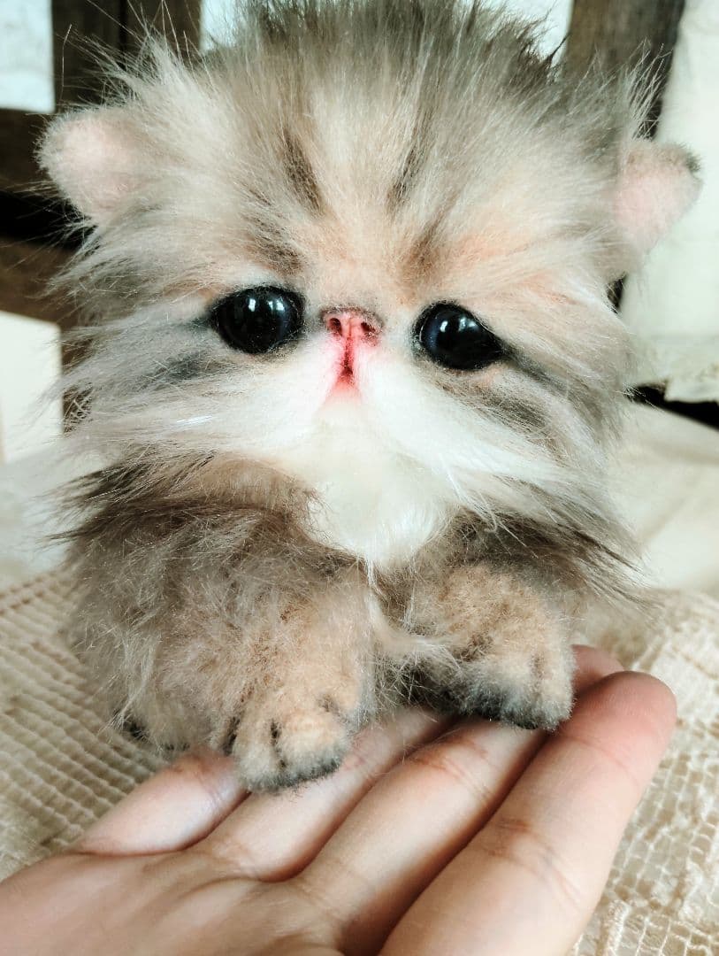 エキゾチックロングヘア♡子猫のプニちゃん♡アートドール♡ぬいぐるみ♡