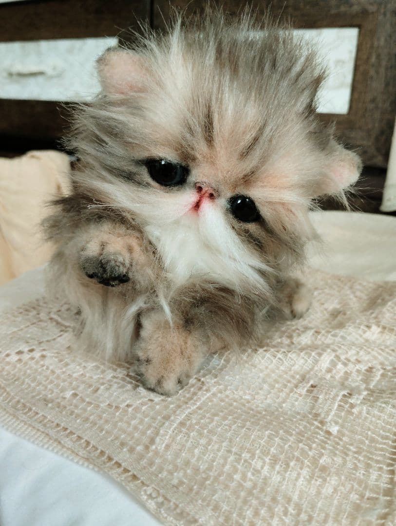 エキゾチックロングヘア♡子猫のプニちゃん♡アートドール♡ぬいぐるみ♡