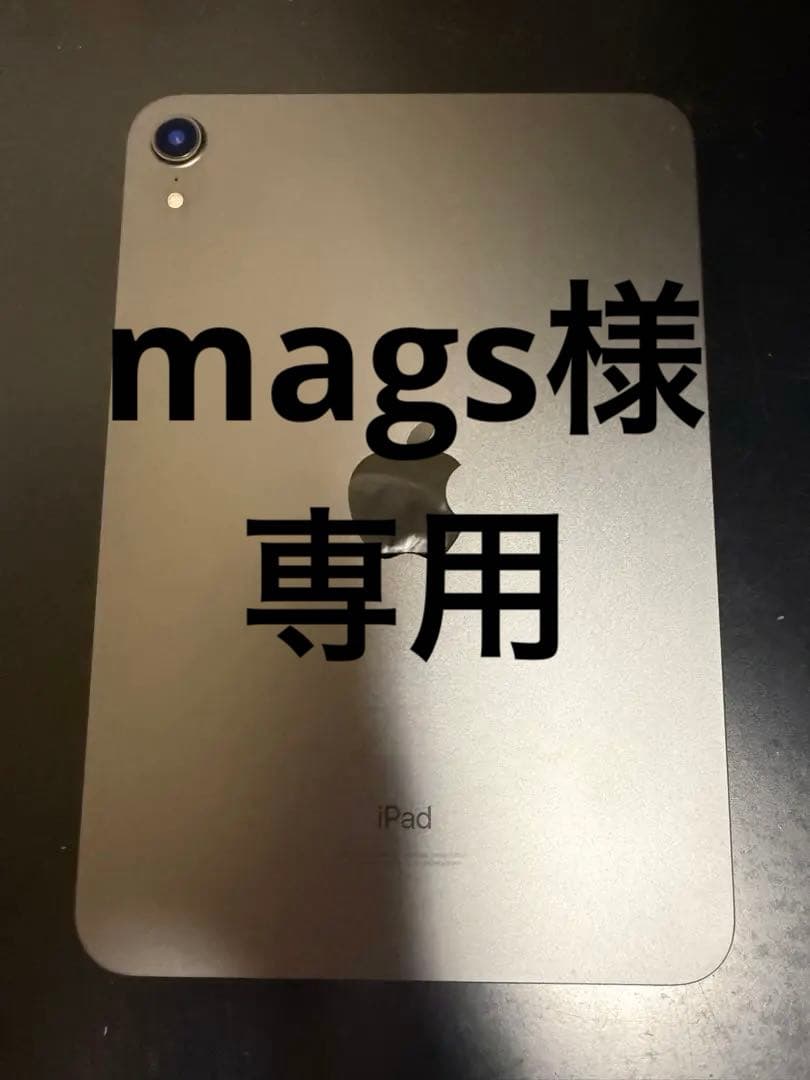 mags iPad miniスペースグレー + Apple Pencil