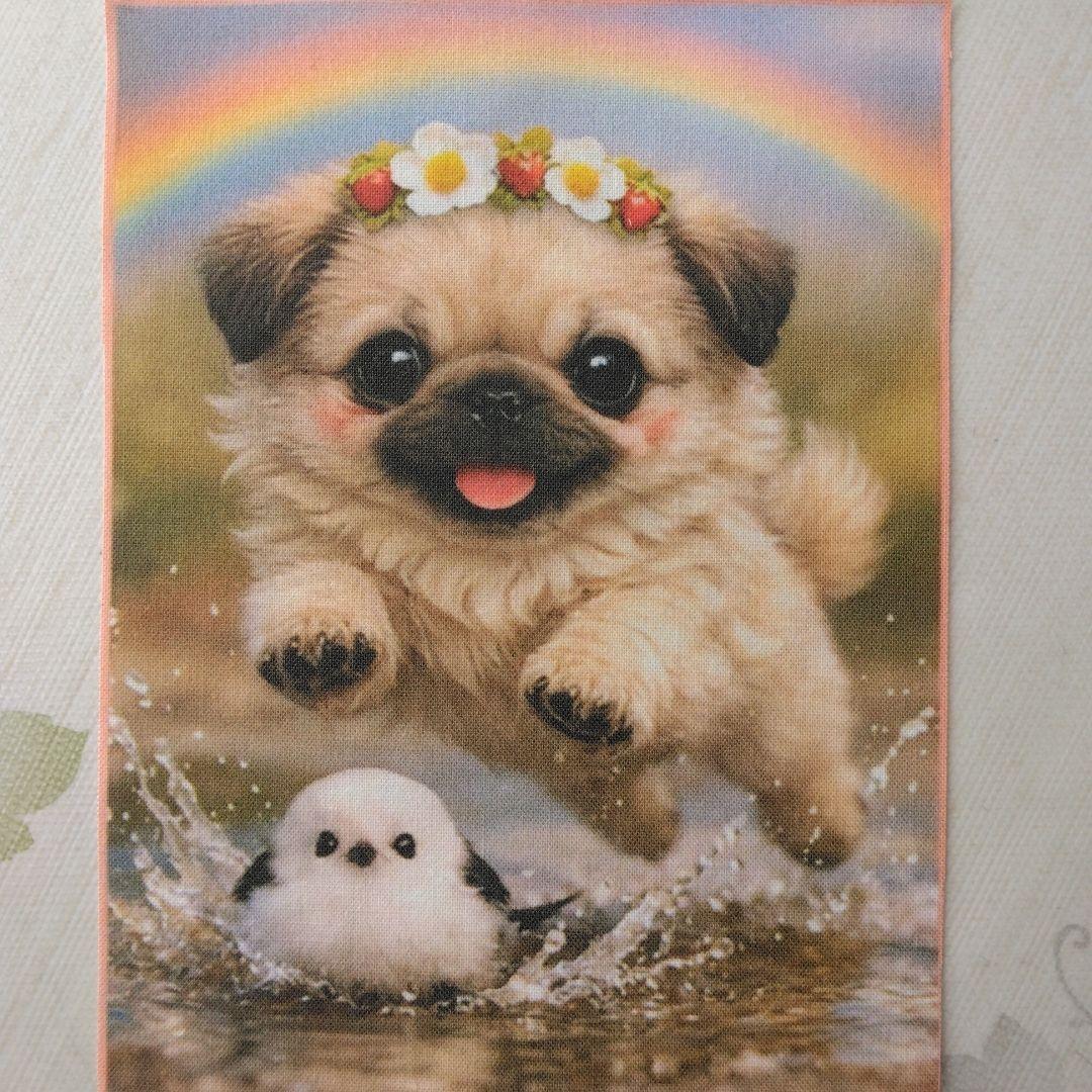 ☆受付☆ パグ・ミニサイズ