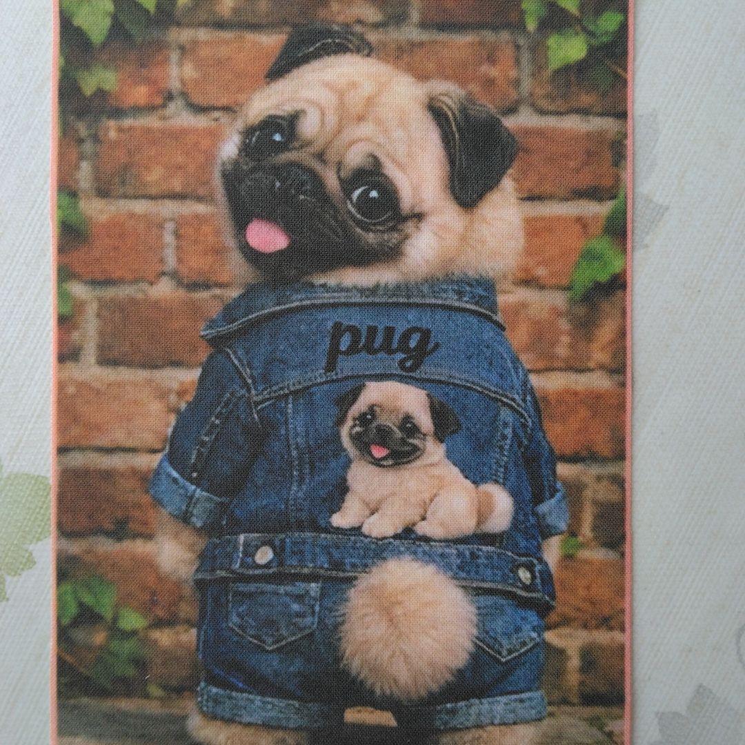 ☆受付☆ パグ・ミニサイズ