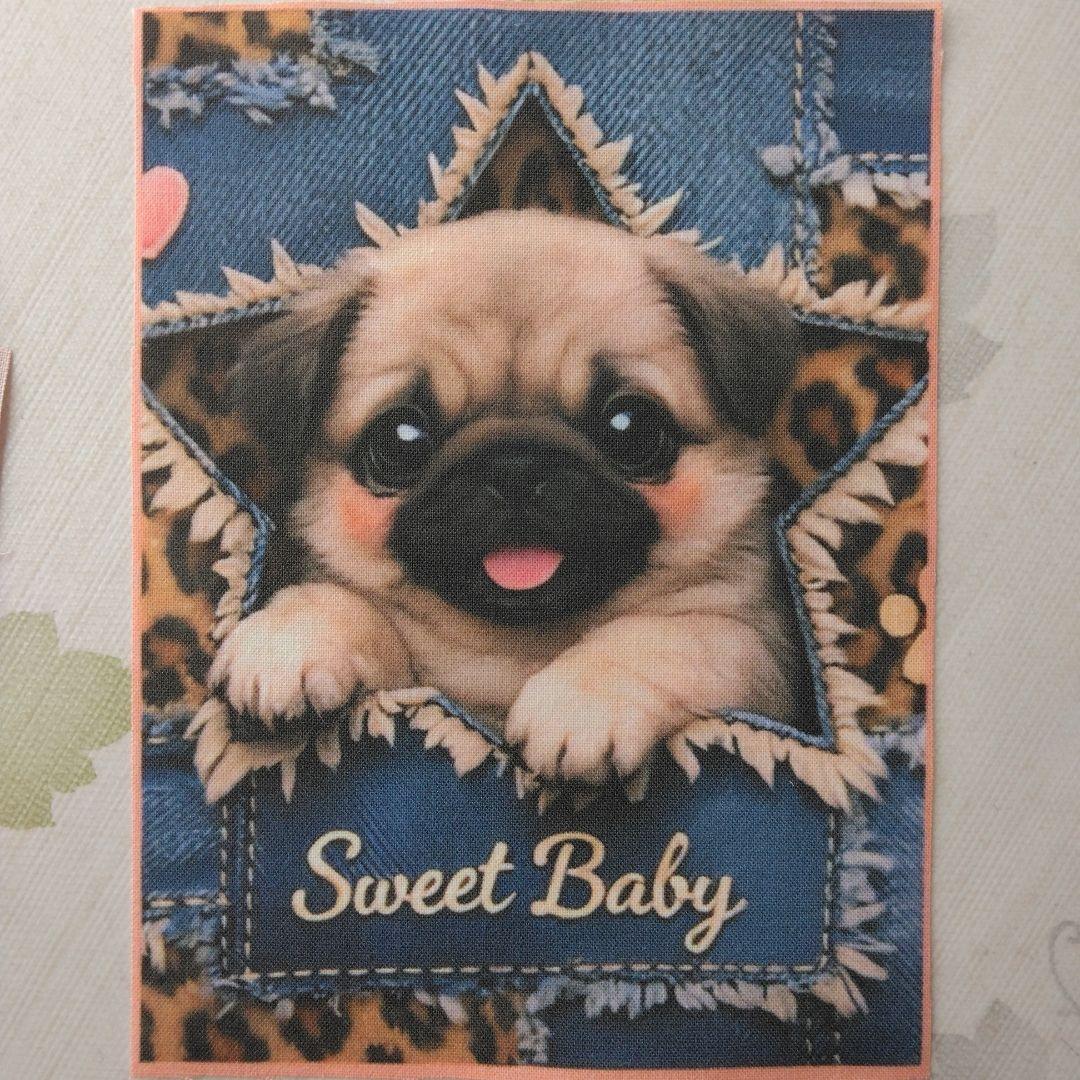 ☆受付☆ パグ・ミニサイズ