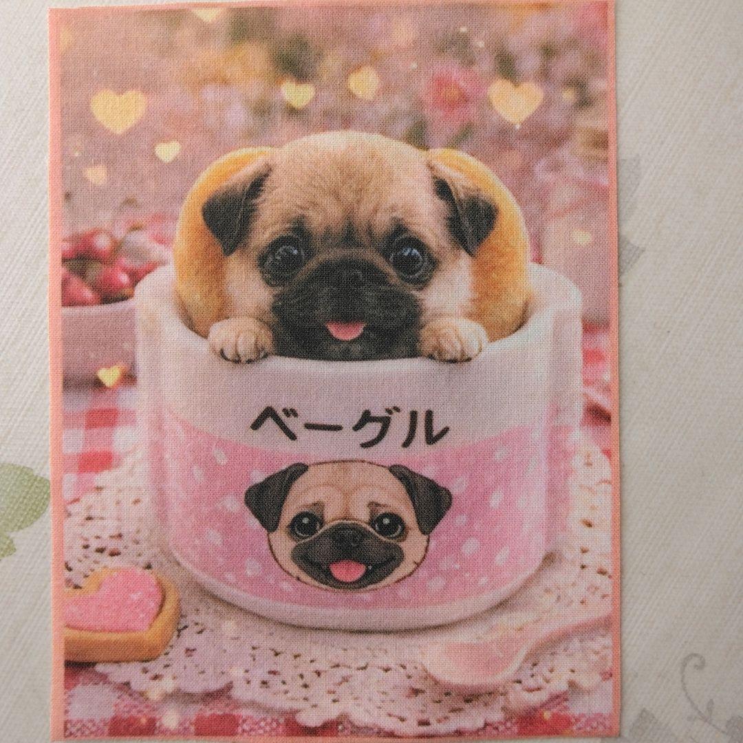 ☆受付☆ パグ・ミニサイズ