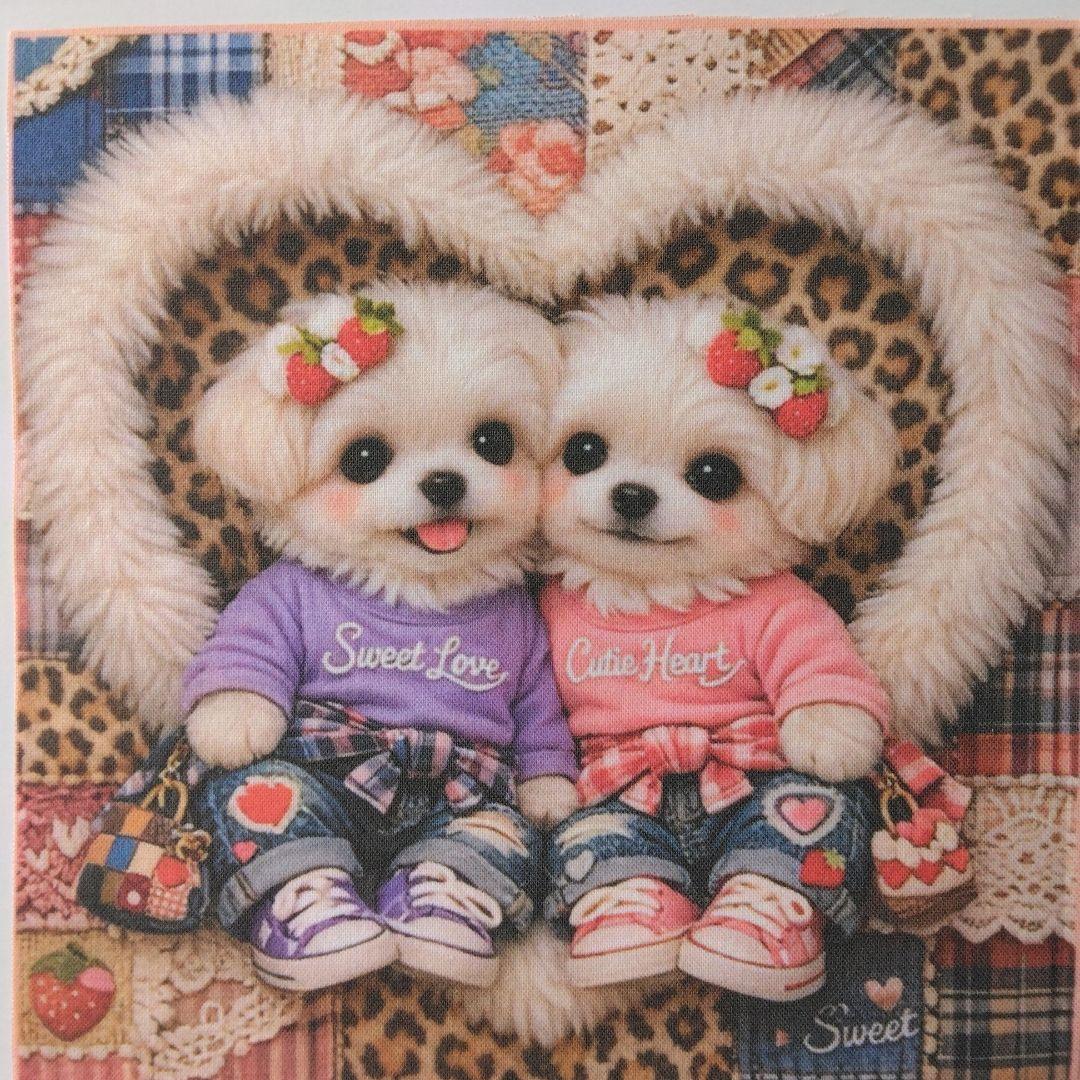 ☆受付☆マルチーズ