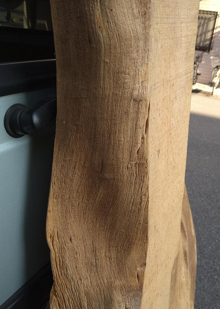 エノキの厚板【手渡しのみ・大阪市】珍しい材　無垢板　材木　DIY