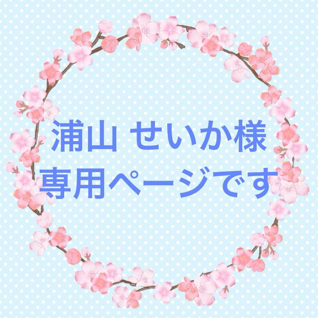 ☆浦山 せいかページです☆