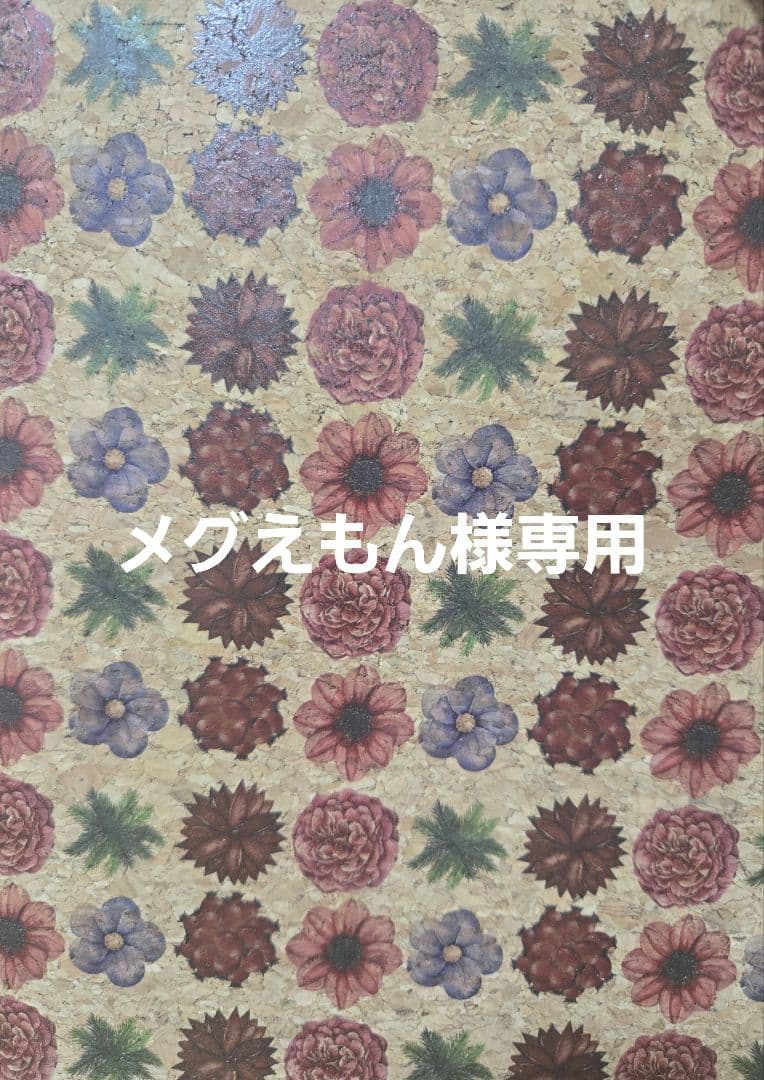 メグえもん様✨専用