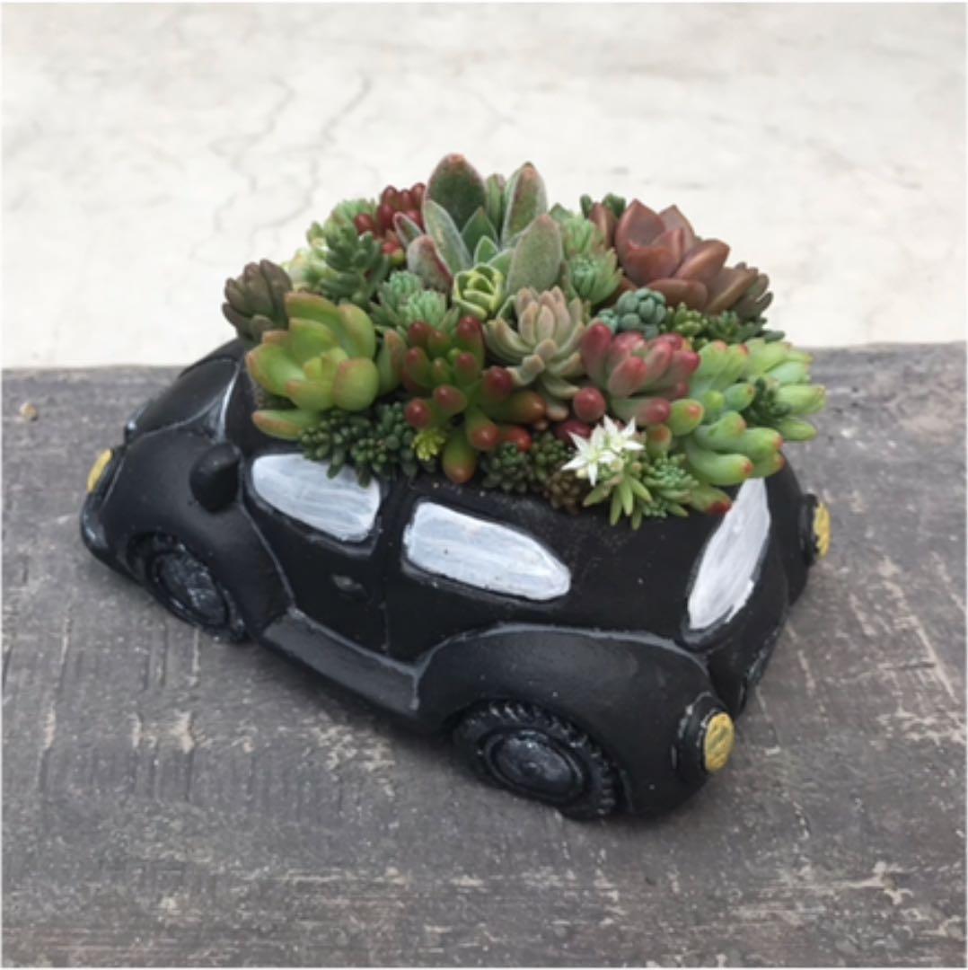 ★多肉の寄せ植え〜flower29car  マットブラック〜★