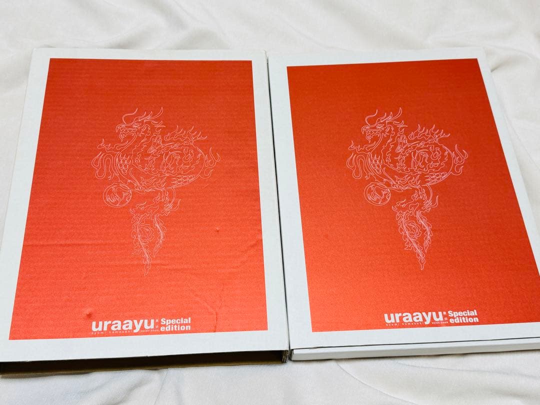 浜崎あゆみ レアグッズ14点セット Team Ayu 写真集 ツアーグッズ