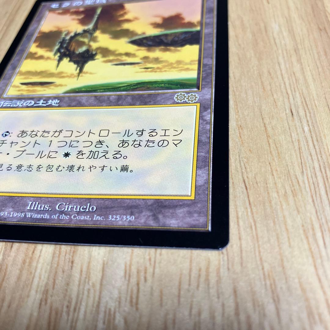 MTG セラの聖域　日本語版