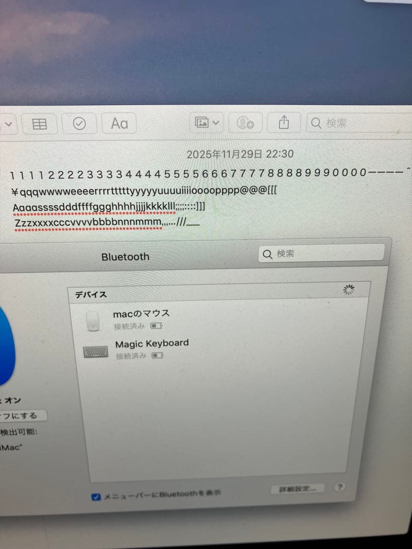 Apple純正マジックキーボード マジックマウス セット