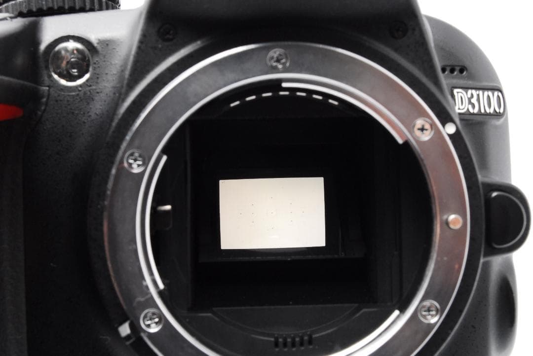 即購入で1000円OFF❤️Nikon D3100 ダブルレンズ 初心者 入門機