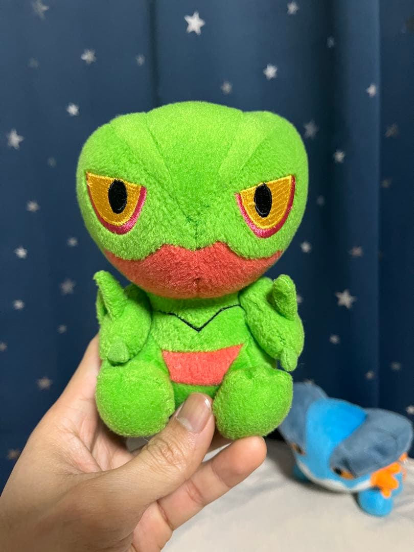 ポケモン ラグラージ ジュカイン ポケドール ぬいぐるみ 激レア 2004年