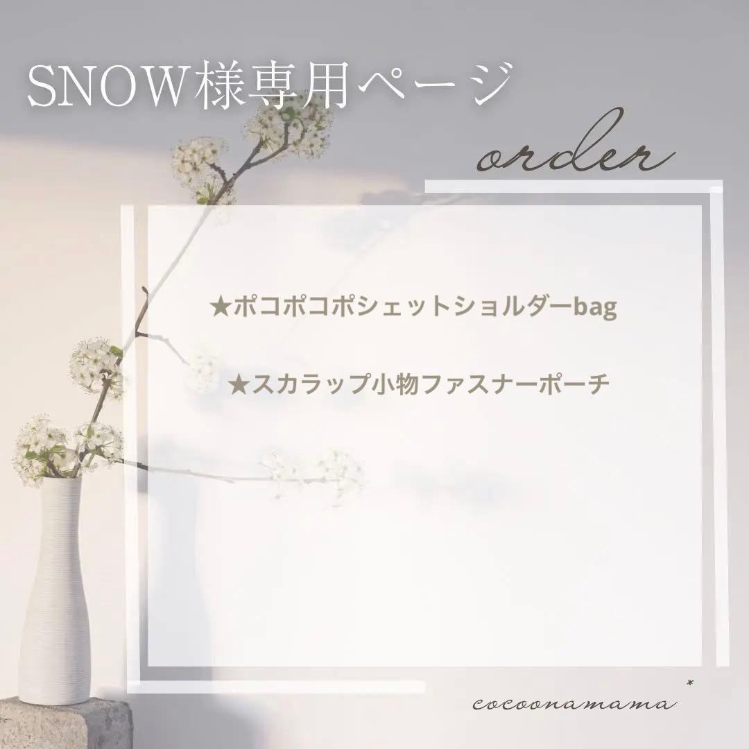 ページ✩.*˚