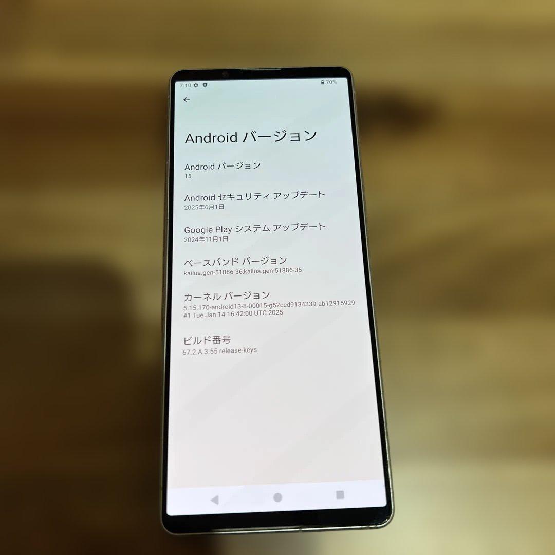 Z422 au SIMフリーXperia 1 V SOG10
