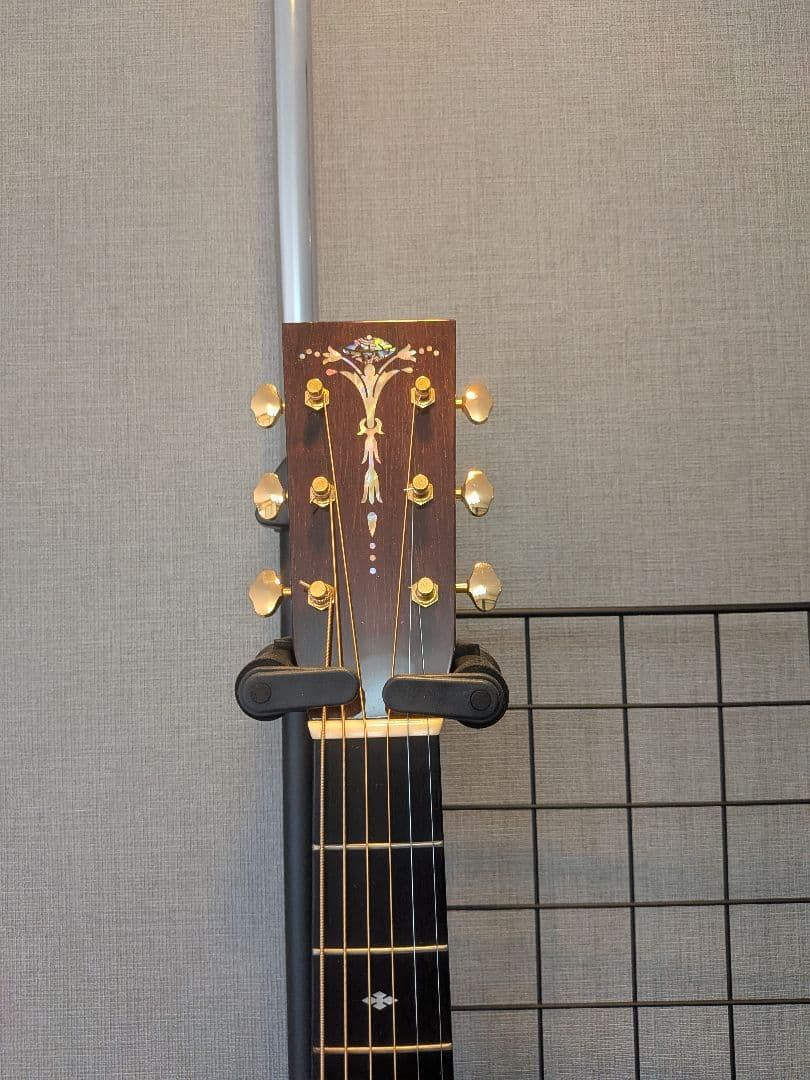 ギター ASTURIAS EC Custom