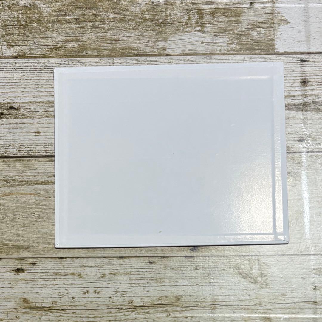 メジロ　【油絵】　20.32cm×25.4cm