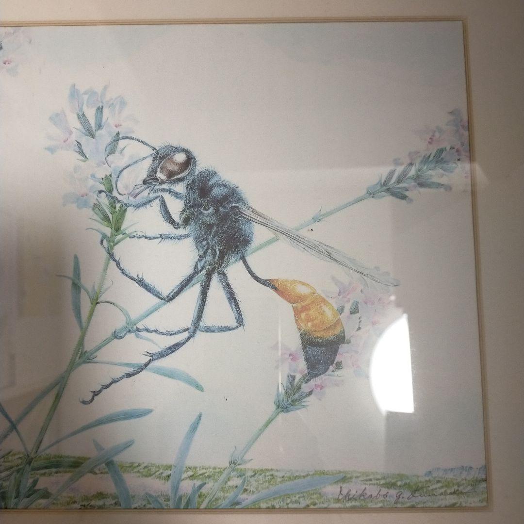 熊田千佳慕　額縁入り絵画　ハチと花