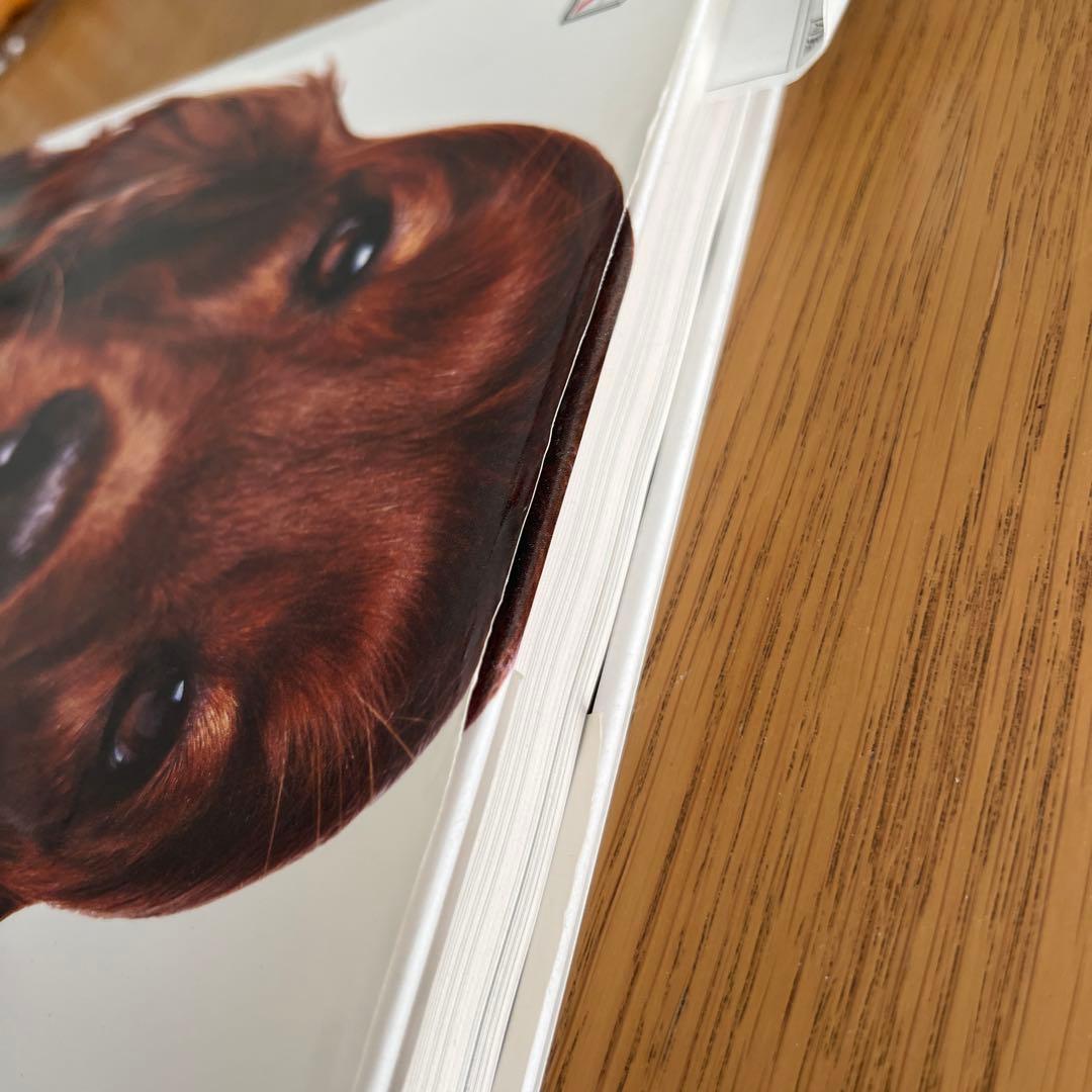 ビジュアル犬種百科図鑑／神里 洋　犬の図鑑　美品