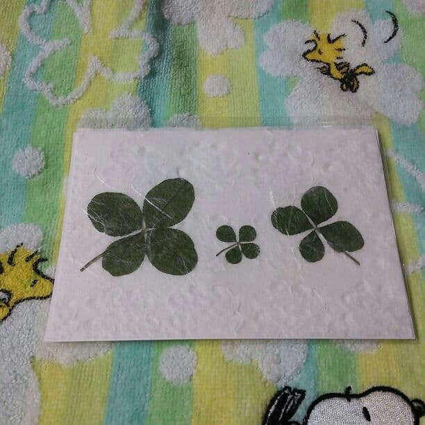 ☆萩☆様…確認用♪(*˘︶˘*).。.:*♡