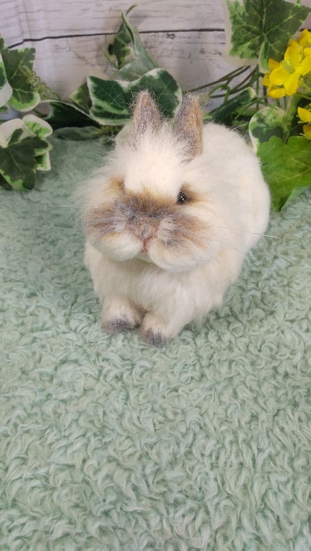 羊毛フェルト うさぎ ライオンヘッド ハンドメイド みんみん