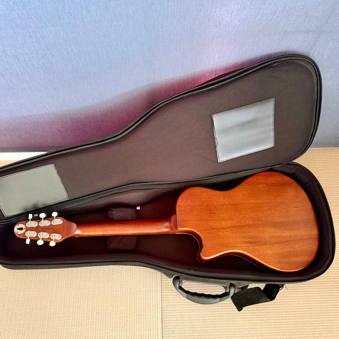 ESP BambooInn CHAR氏プロデュース　ガット弦タイプ