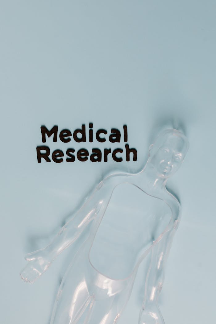 Conceptual image of a transparent human model with medical research text on pastel background.