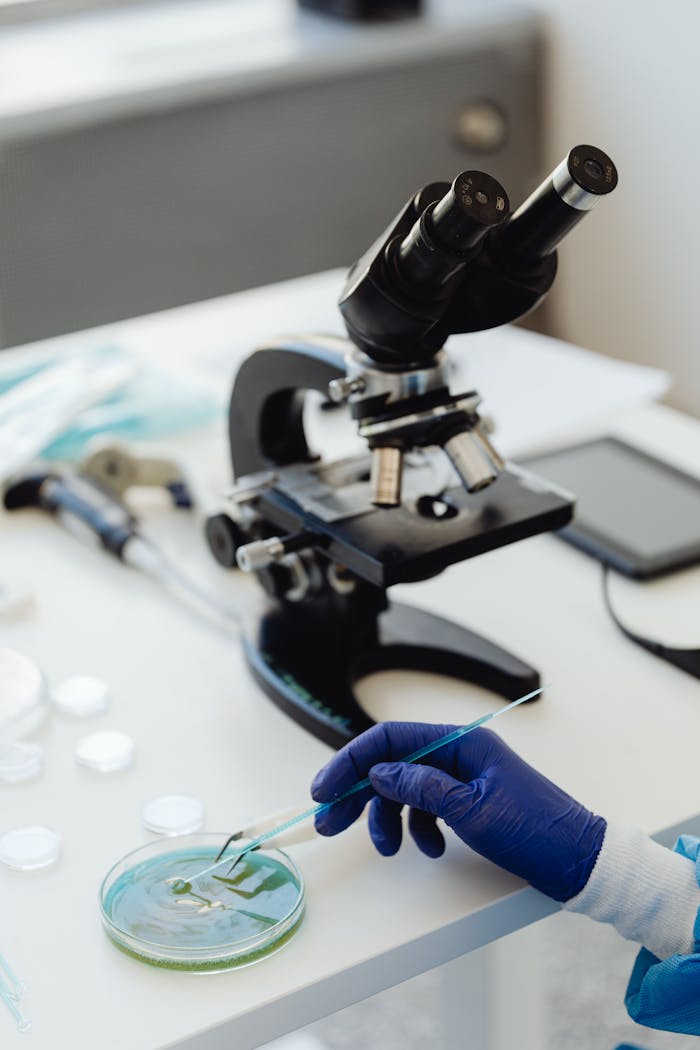 A scientist using a microscope and petri dish in a lab, showcasing scientific research.